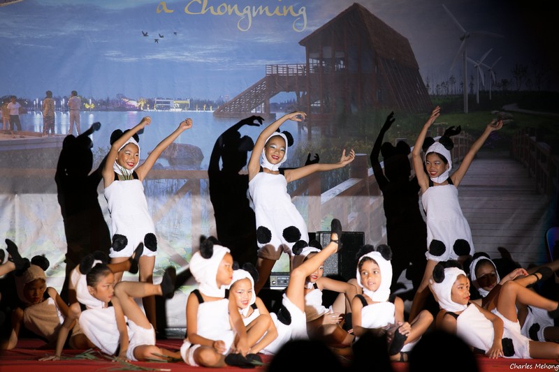 La danse du panda